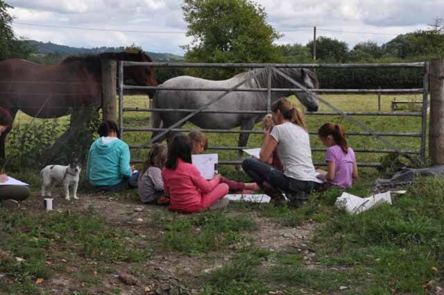 Mid Wales Arts B&B Caersws Ngoại thất bức ảnh