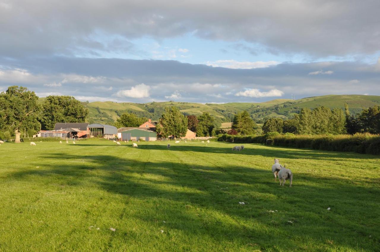 Mid Wales Arts B&B Caersws Ngoại thất bức ảnh