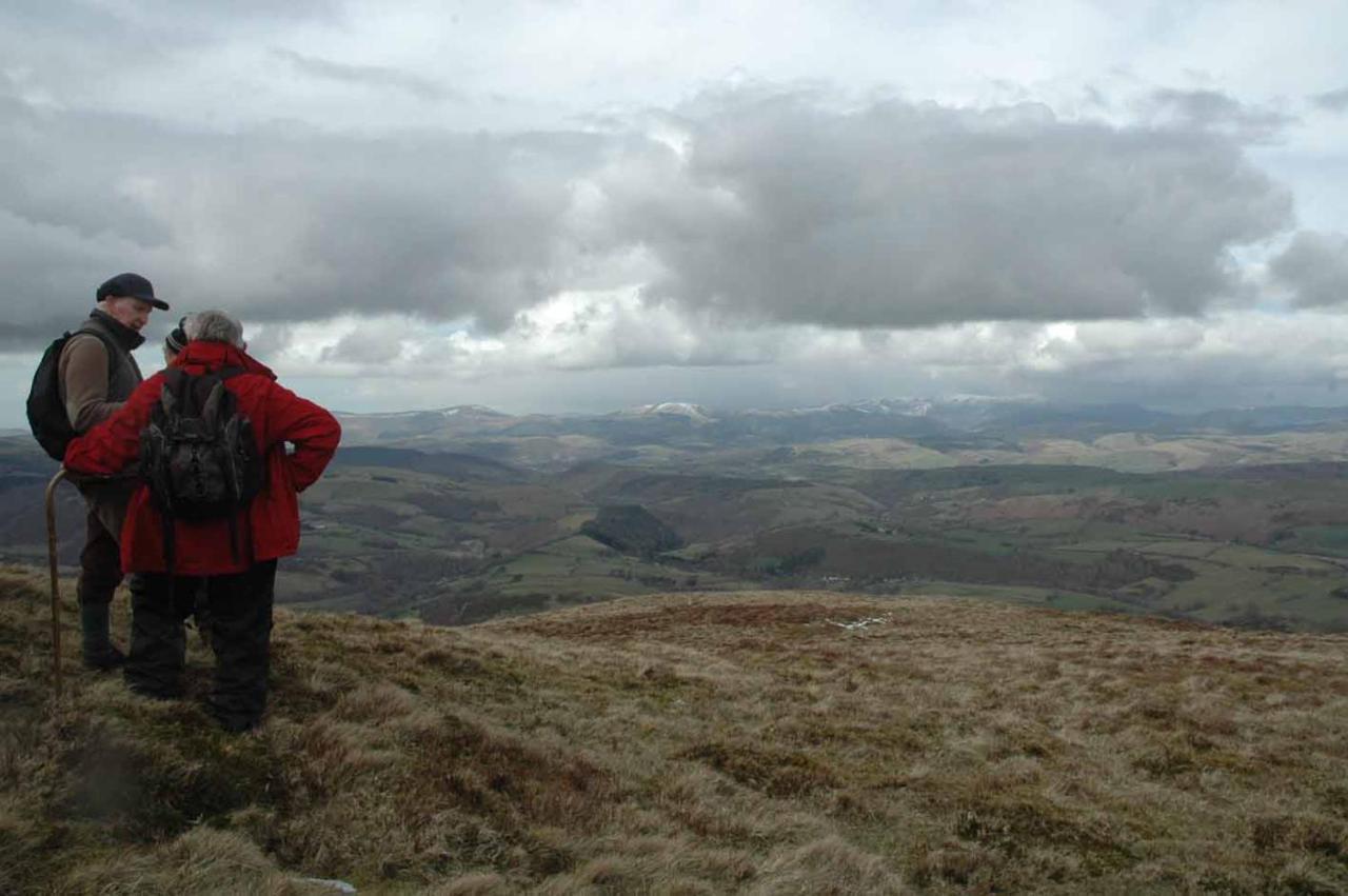 Mid Wales Arts B&B Caersws Ngoại thất bức ảnh